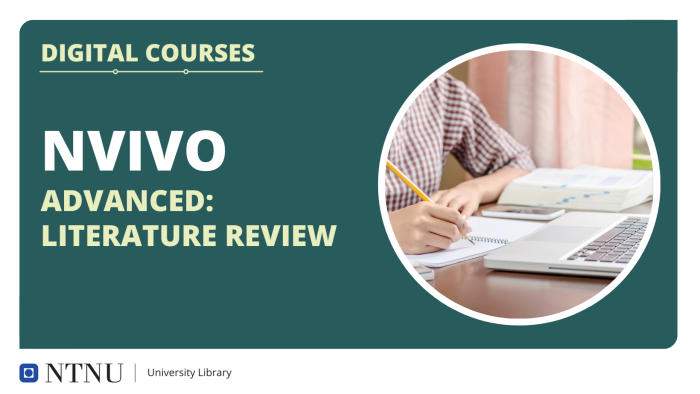 NVivo: Literature review (English)